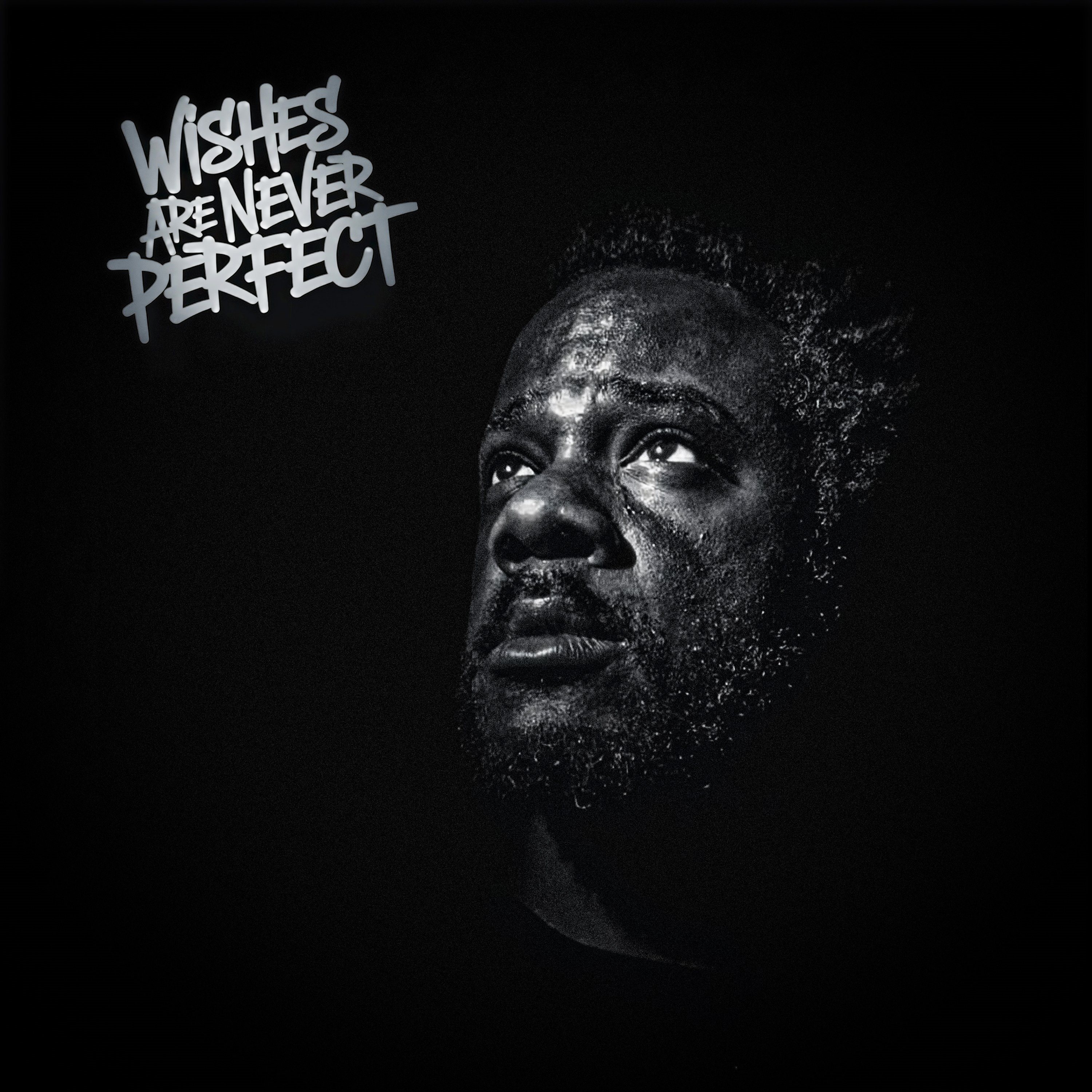 Wishes Are Never Perfect Album